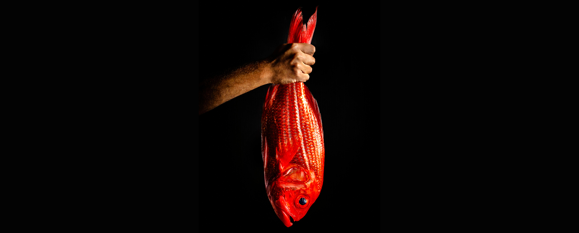 Rockpool Bar & Grill Perth Seasonal Tasting Menu Campaign Banner